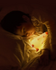 Фотографія Силіконовий нічник Курча з сенсорним управлінням 7 кольорів